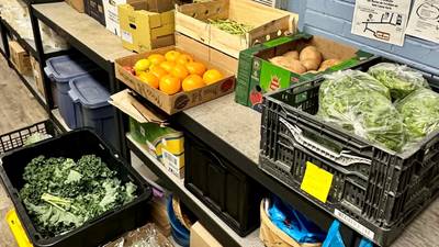 Fresh food items ready for pantry distribution.